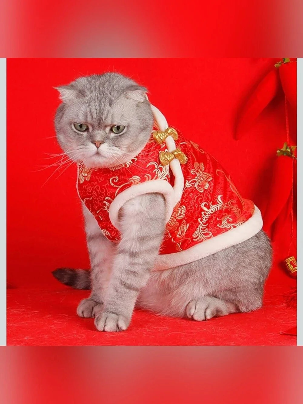 New Year Cat Knot Buttons Coat Dogs Cheongsam Winter Pet Clothes Vest